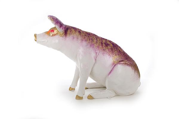 hog img